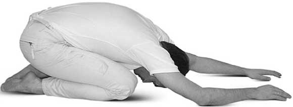 Иллюстрация к книге — Йога для позвоночника и суставов [i_055.jpg]