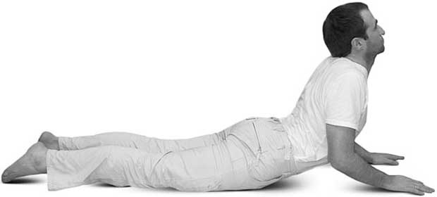 Иллюстрация к книге — Йога для позвоночника и суставов [i_056.jpg]