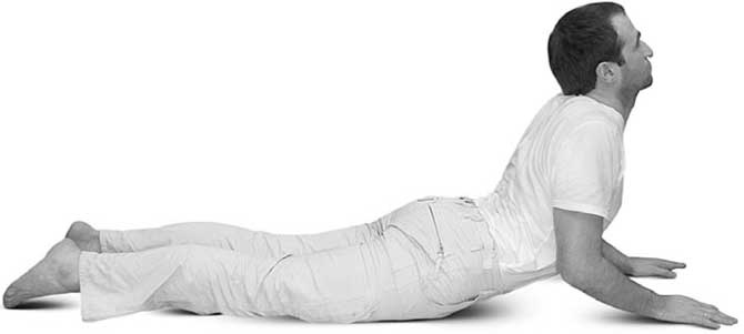 Иллюстрация к книге — Йога для позвоночника и суставов [i_064.jpg]