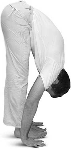 Иллюстрация к книге — Йога для позвоночника и суставов [i_067.jpg]