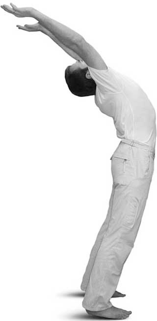 Иллюстрация к книге — Йога для позвоночника и суставов [i_068.jpg]