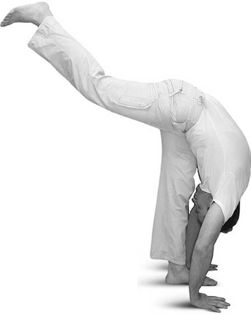 Иллюстрация к книге — Йога для позвоночника и суставов [i_070.jpg]