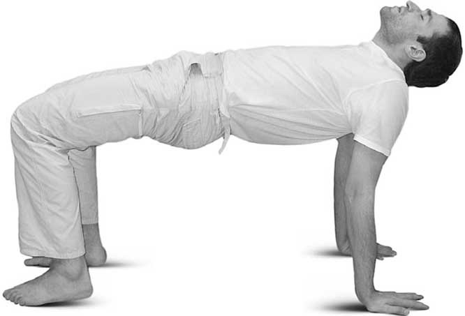 Иллюстрация к книге — Йога для позвоночника и суставов [i_092.jpg]