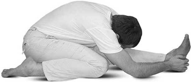 Иллюстрация к книге — Йога для позвоночника и суставов [i_094.jpg]