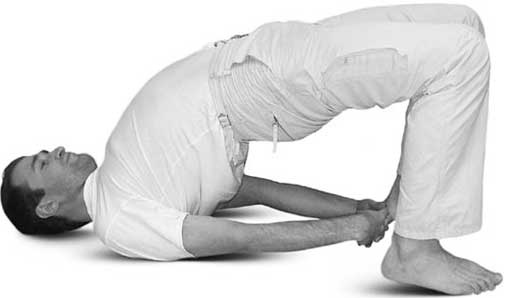 Иллюстрация к книге — Йога для позвоночника и суставов [i_105.jpg]