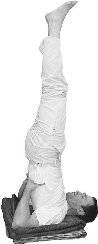 Иллюстрация к книге — Йога для позвоночника и суставов [i_116.jpg]