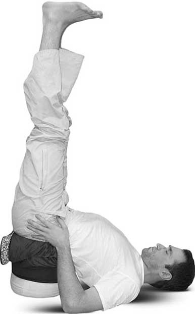 Иллюстрация к книге — Йога для позвоночника и суставов [i_117.jpg]