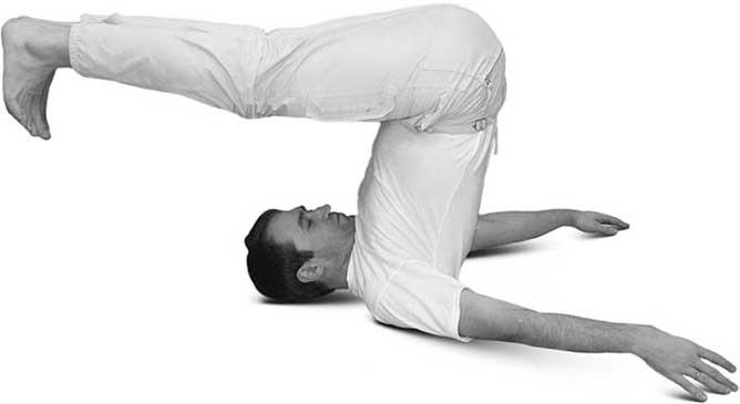 Иллюстрация к книге — Йога для позвоночника и суставов [i_119.jpg]