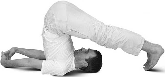 Иллюстрация к книге — Йога для позвоночника и суставов [i_120.jpg]