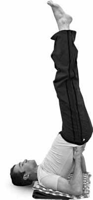 Иллюстрация к книге — Простая йога. Лучшие асаны [_106.jpg]