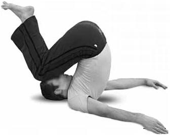 Иллюстрация к книге — Простая йога. Лучшие асаны [_107.jpg]