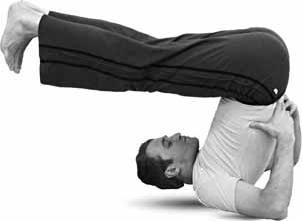 Иллюстрация к книге — Простая йога. Лучшие асаны [_109.jpg]