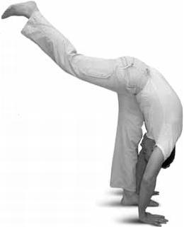 Иллюстрация к книге — Простая йога. Лучшие асаны [_112.jpg]