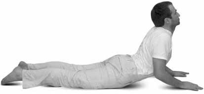 Иллюстрация к книге — Простая йога. Лучшие асаны [_27.jpg]