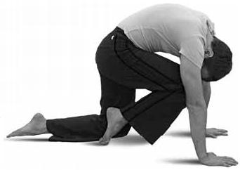 Иллюстрация к книге — Простая йога. Лучшие асаны [_53.jpg]