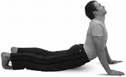 Иллюстрация к книге — Простая йога. Лучшие асаны [_60.jpg]