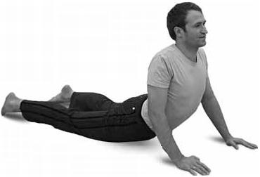 Иллюстрация к книге — Простая йога. Лучшие асаны [_62.jpg]