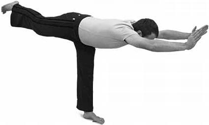 Иллюстрация к книге — Простая йога. Лучшие асаны [_87.jpg]