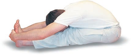 Иллюстрация к книге — Йога. Большая книга лучших асан [Autogen_eBook_id143.jpg]