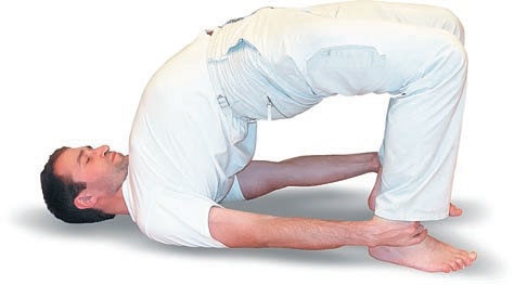 Иллюстрация к книге — Йога. Большая книга лучших асан [Autogen_eBook_id147.jpg]