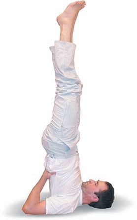 Иллюстрация к книге — Йога. Большая книга лучших асан [Autogen_eBook_id153.jpg]