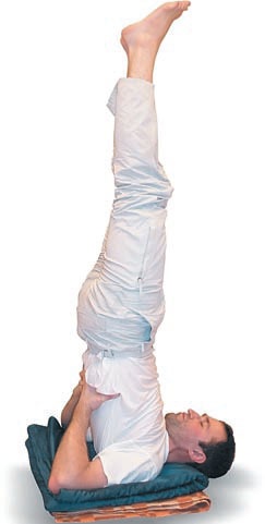 Иллюстрация к книге — Йога. Большая книга лучших асан [Autogen_eBook_id155.jpg]