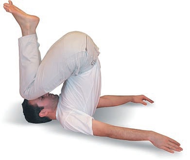 Иллюстрация к книге — Йога. Большая книга лучших асан [Autogen_eBook_id157.jpg]