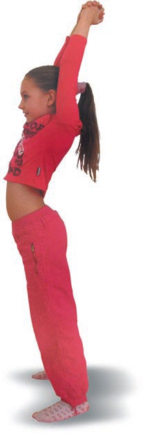 Иллюстрация к книге — Йога. Большая книга лучших асан [Autogen_eBook_id187.jpg]