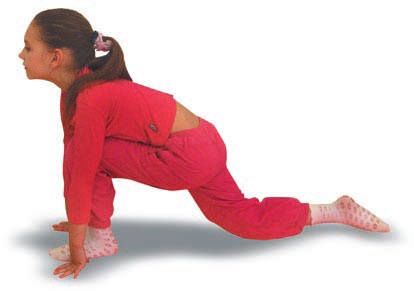 Иллюстрация к книге — Йога. Большая книга лучших асан [Autogen_eBook_id195.jpg]