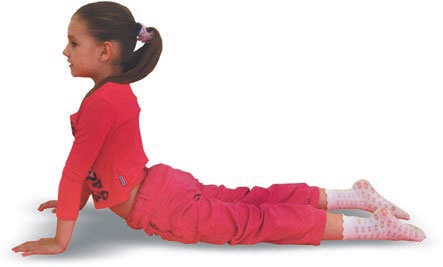 Иллюстрация к книге — Йога. Большая книга лучших асан [Autogen_eBook_id199.jpg]