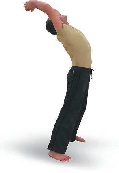 Иллюстрация к книге — Йога. Большая книга лучших асан [Autogen_eBook_id21.jpg]