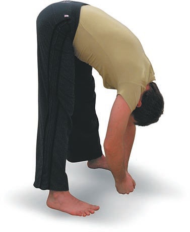 Иллюстрация к книге — Йога. Большая книга лучших асан [Autogen_eBook_id22.jpg]