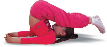 Иллюстрация к книге — Йога. Большая книга лучших асан [Autogen_eBook_id231.jpg]