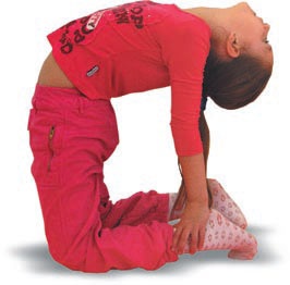 Иллюстрация к книге — Йога. Большая книга лучших асан [Autogen_eBook_id244.jpg]