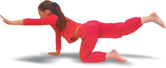 Иллюстрация к книге — Йога. Большая книга лучших асан [Autogen_eBook_id252.jpg]