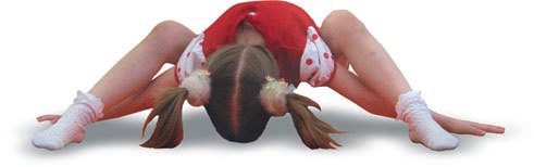 Иллюстрация к книге — Йога. Большая книга лучших асан [Autogen_eBook_id274.jpg]