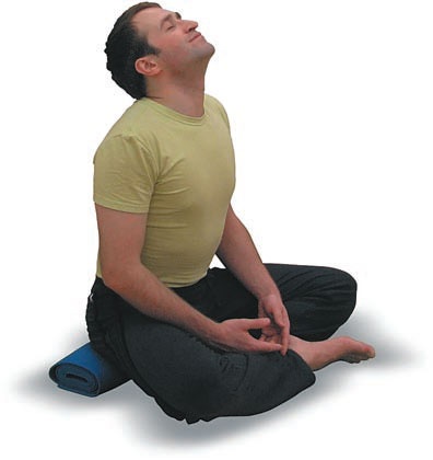 Иллюстрация к книге — Йога. Большая книга лучших асан [Autogen_eBook_id28.jpg]