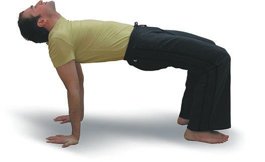 Иллюстрация к книге — Йога. Большая книга лучших асан [Autogen_eBook_id33.jpg]