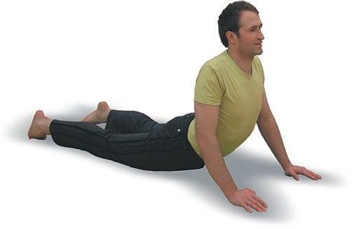 Иллюстрация к книге — Йога. Большая книга лучших асан [Autogen_eBook_id50.jpg]