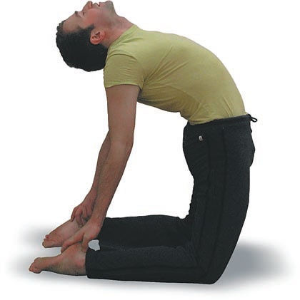 Иллюстрация к книге — Йога. Большая книга лучших асан [Autogen_eBook_id82.jpg]