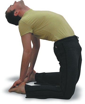 Иллюстрация к книге — Йога. Большая книга лучших асан [Autogen_eBook_id83.jpg]