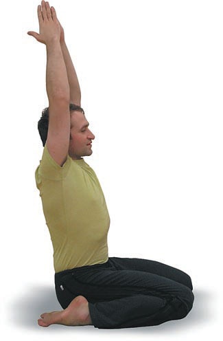 Иллюстрация к книге — Йога. Большая книга лучших асан [Autogen_eBook_id86.jpg]