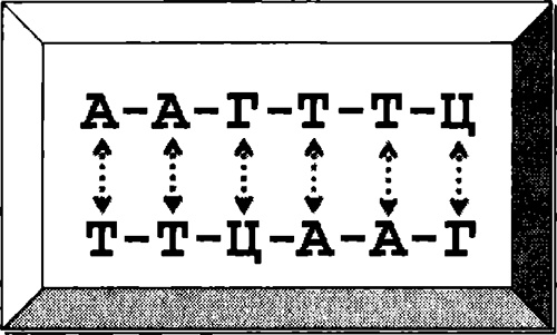 Иллюстрация к книге — Секс и эволюция человеческой природы [i_001.jpg]
