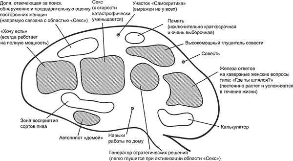 Иллюстрация к книге — Голая правда о мужчине [Autogen_eBook_id0.jpg]