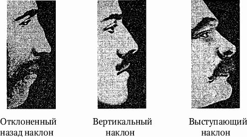 Иллюстрация к книге — Как распознать преступника [image20.jpg]