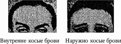 Иллюстрация к книге — Как распознать преступника [image5.jpg]