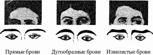 Иллюстрация к книге — Как распознать преступника [image6.jpg]