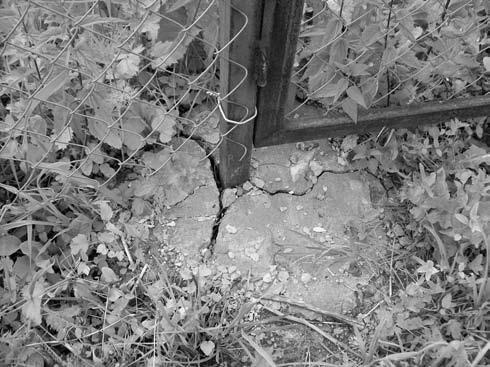 Иллюстрация к книге — Забор, ограда, калитка на дачном участке. Строим своими руками [i_055.jpg]