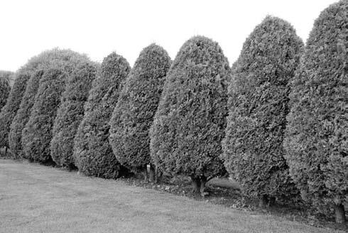 Иллюстрация к книге — Забор, ограда, калитка на дачном участке. Строим своими руками [i_089.jpg]