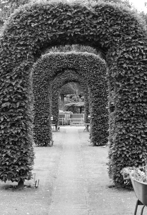 Иллюстрация к книге — Забор, ограда, калитка на дачном участке. Строим своими руками [i_100.jpg]